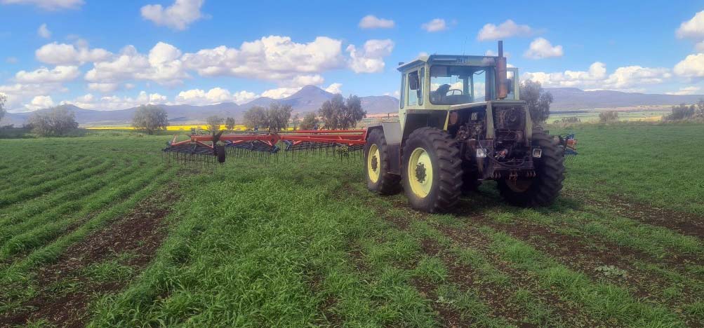 A harrow in practice in an organic field